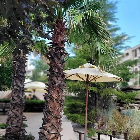 Luxury In Cascadas Family Sunny * Sluneční pobřeží